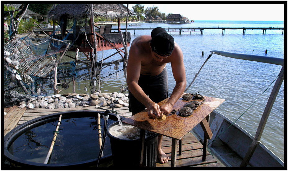 pearl farm